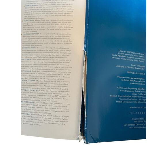 Birdscapes Pop Up Book Celebration of Bird Songs in Stereo M. Chu & Cornell Labs - Picture 8 of 14